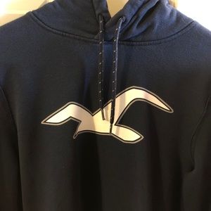 Hollister Hoodie